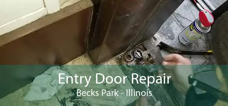 Entry Door Repair Becks Park - Illinois