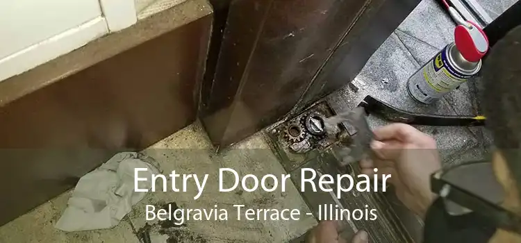 Entry Door Repair Belgravia Terrace - Illinois