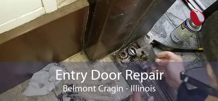 Entry Door Repair Belmont Cragin - Illinois