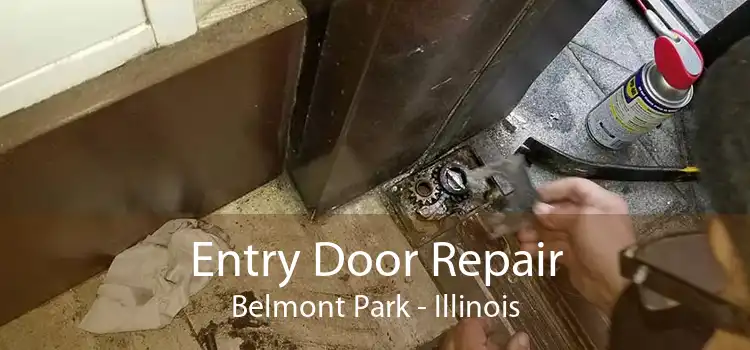 Entry Door Repair Belmont Park - Illinois