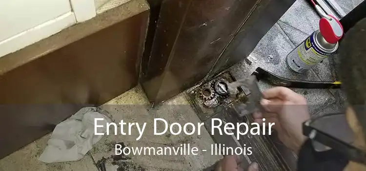 Entry Door Repair Bowmanville - Illinois