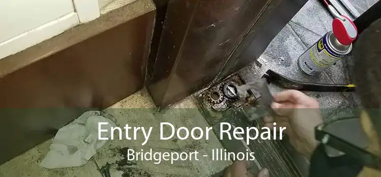 Entry Door Repair Bridgeport - Illinois