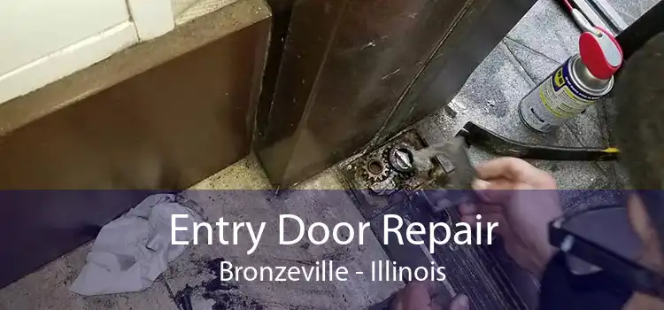 Entry Door Repair Bronzeville - Illinois