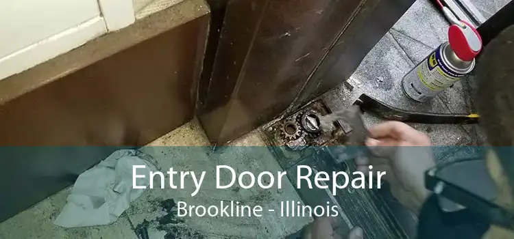 Entry Door Repair Brookline - Illinois