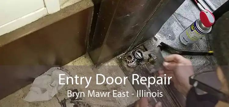 Entry Door Repair Bryn Mawr East - Illinois