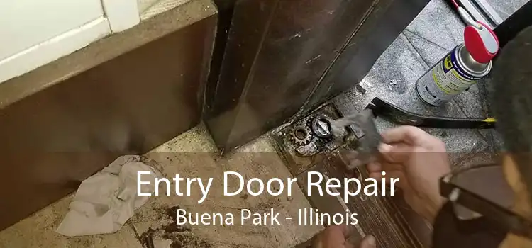 Entry Door Repair Buena Park - Illinois