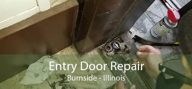 Entry Door Repair Burnside - Illinois