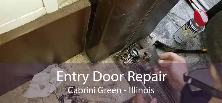 Entry Door Repair Cabrini Green - Illinois