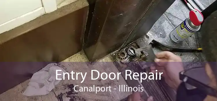 Entry Door Repair Canalport - Illinois