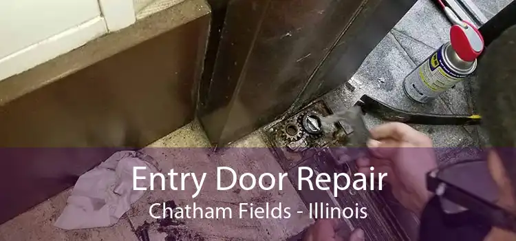 Entry Door Repair Chatham Fields - Illinois