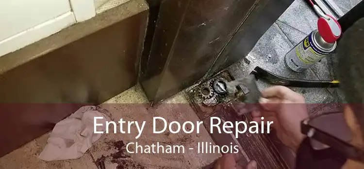 Entry Door Repair Chatham - Illinois