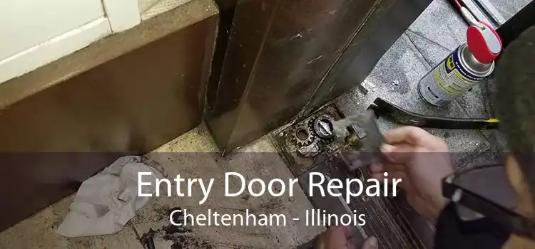 Entry Door Repair Cheltenham - Illinois