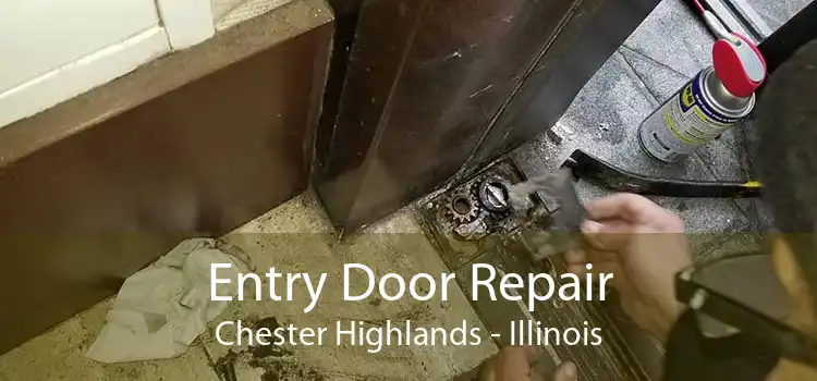 Entry Door Repair Chester Highlands - Illinois