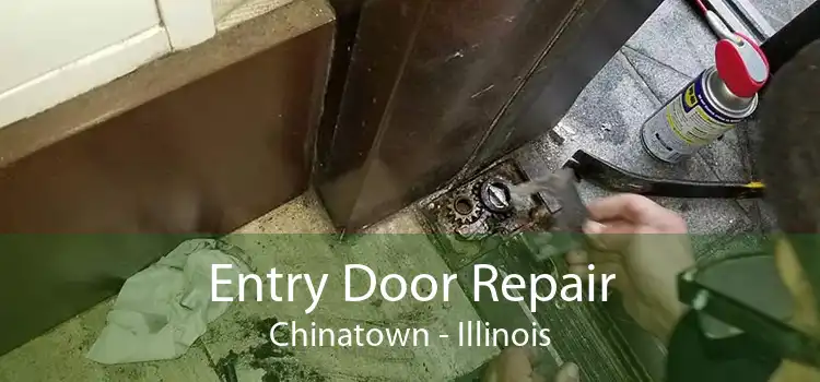 Entry Door Repair Chinatown - Illinois