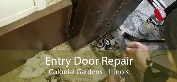 Entry Door Repair Colonial Gardens - Illinois