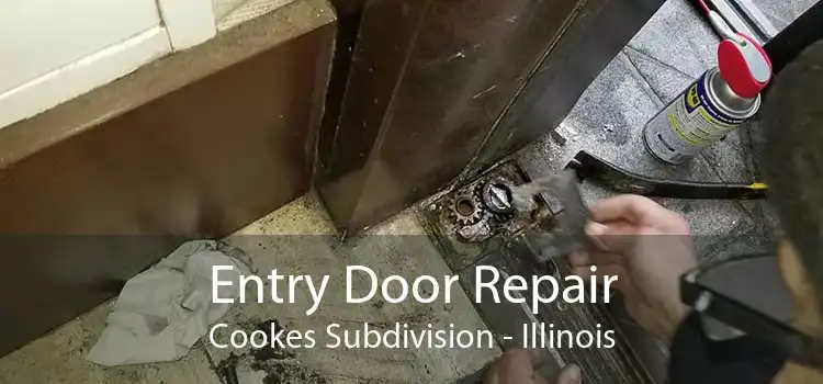 Entry Door Repair Cookes Subdivision - Illinois