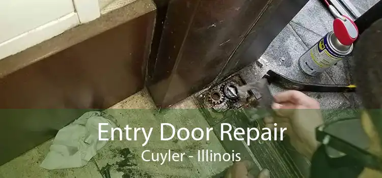 Entry Door Repair Cuyler - Illinois