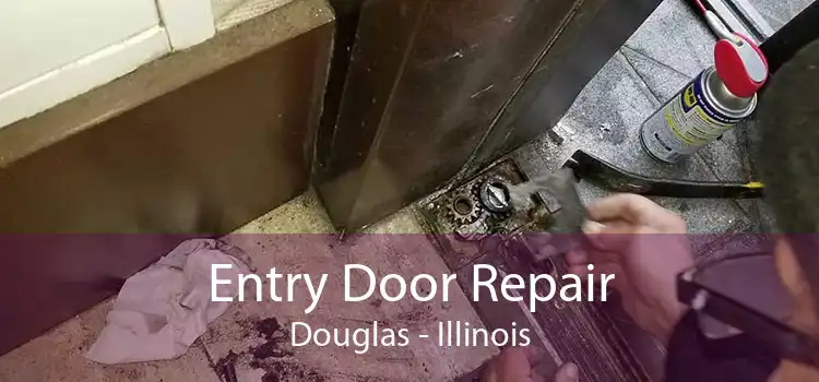 Entry Door Repair Douglas - Illinois