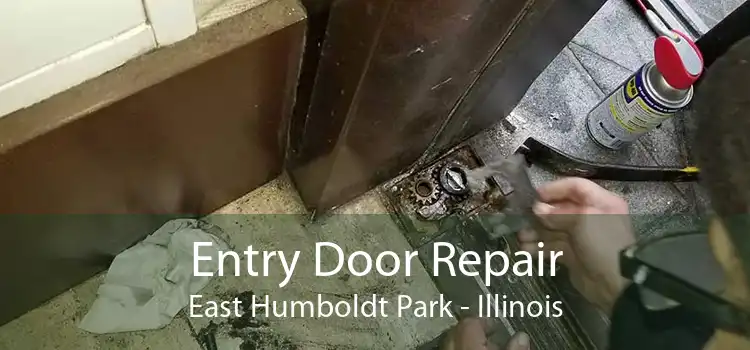 Entry Door Repair East Humboldt Park - Illinois