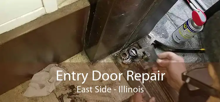 Entry Door Repair East Side - Illinois