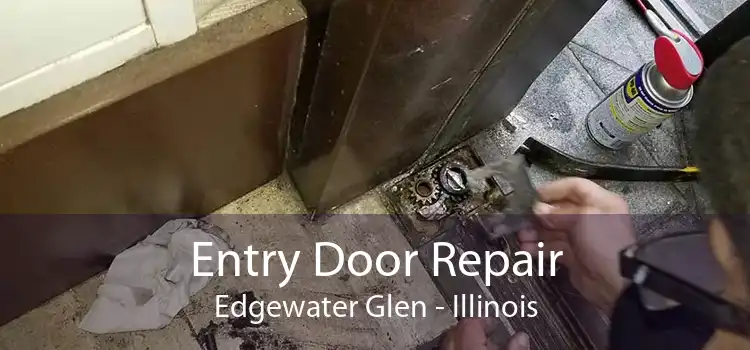 Entry Door Repair Edgewater Glen - Illinois