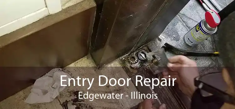 Entry Door Repair Edgewater - Illinois