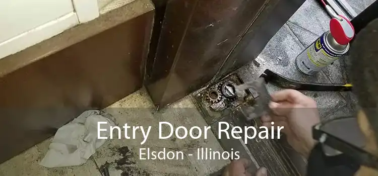 Entry Door Repair Elsdon - Illinois