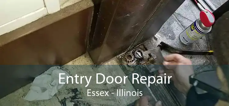 Entry Door Repair Essex - Illinois