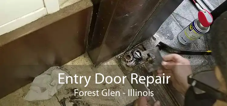 Entry Door Repair Forest Glen - Illinois