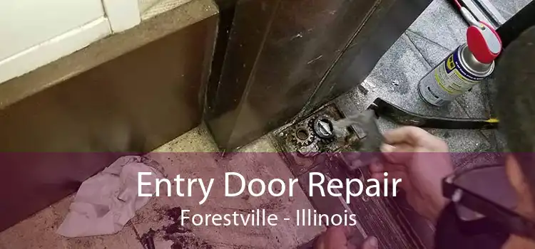 Entry Door Repair Forestville - Illinois