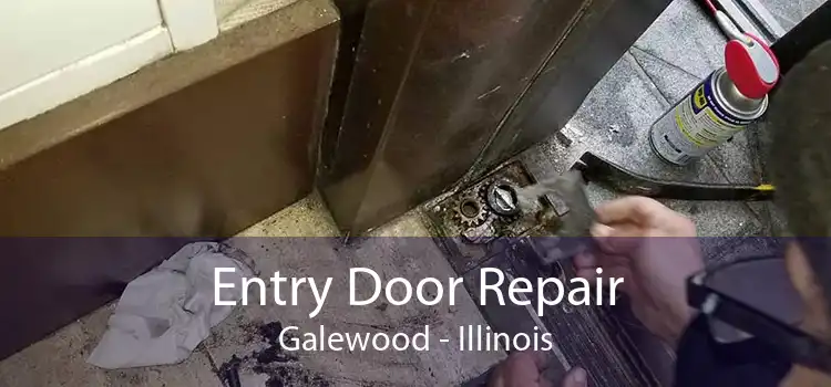 Entry Door Repair Galewood - Illinois