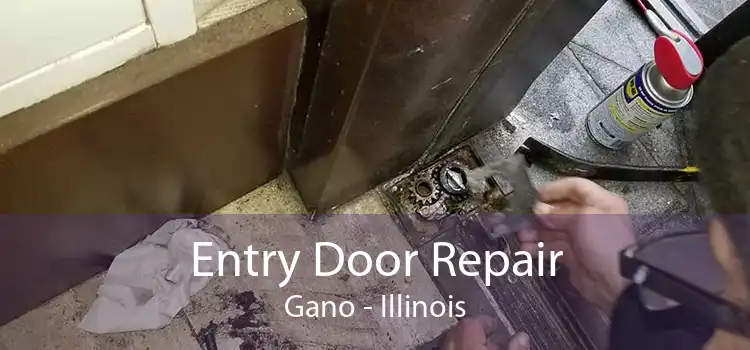 Entry Door Repair Gano - Illinois