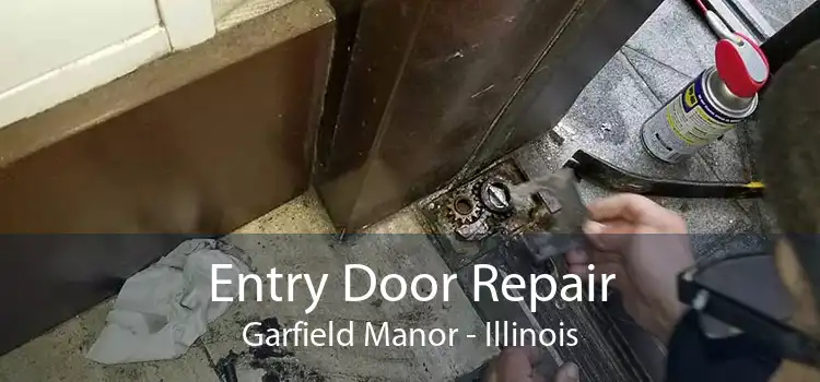 Entry Door Repair Garfield Manor - Illinois