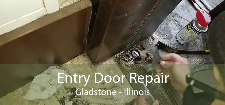 Entry Door Repair Gladstone - Illinois