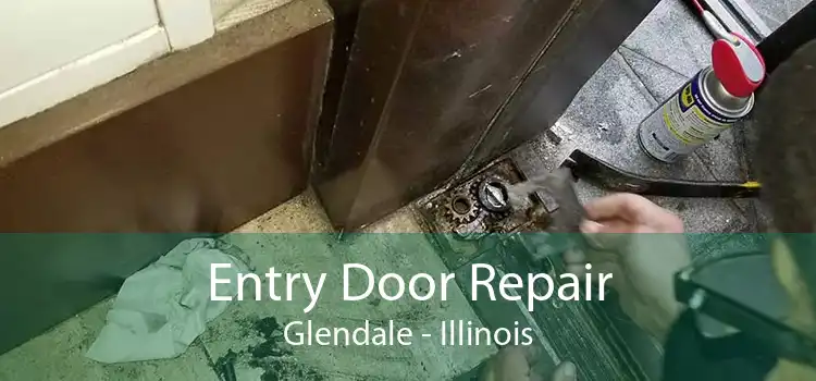 Entry Door Repair Glendale - Illinois