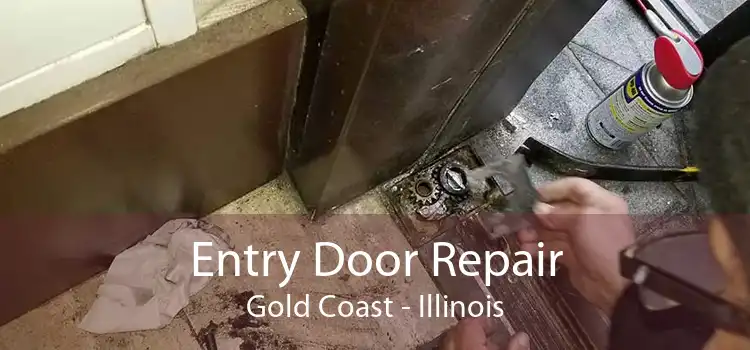 Entry Door Repair Gold Coast - Illinois