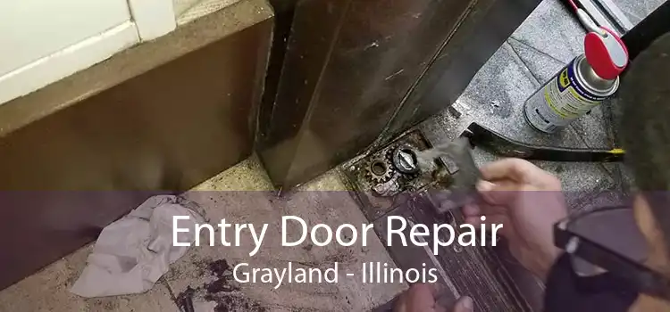 Entry Door Repair Grayland - Illinois