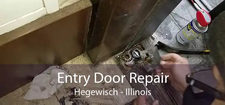 Entry Door Repair Hegewisch - Illinois