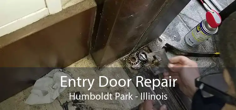 Entry Door Repair Humboldt Park - Illinois