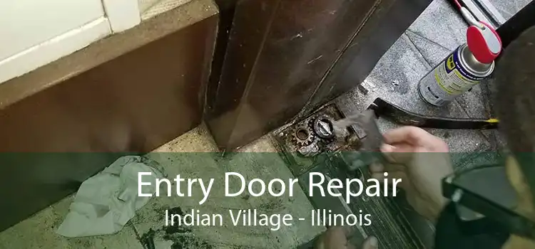 Entry Door Repair Indian Village - Illinois