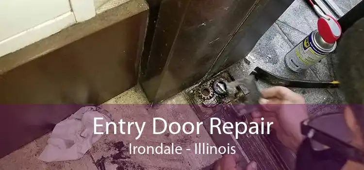 Entry Door Repair Irondale - Illinois