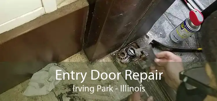 Entry Door Repair Irving Park - Illinois