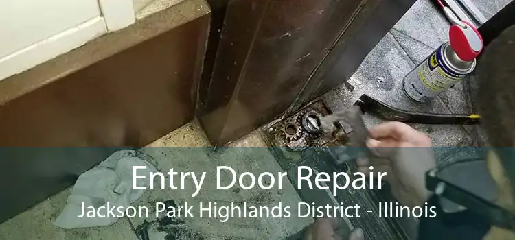 Entry Door Repair Jackson Park Highlands District - Illinois