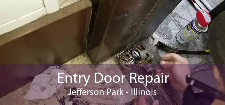 Entry Door Repair Jefferson Park - Illinois