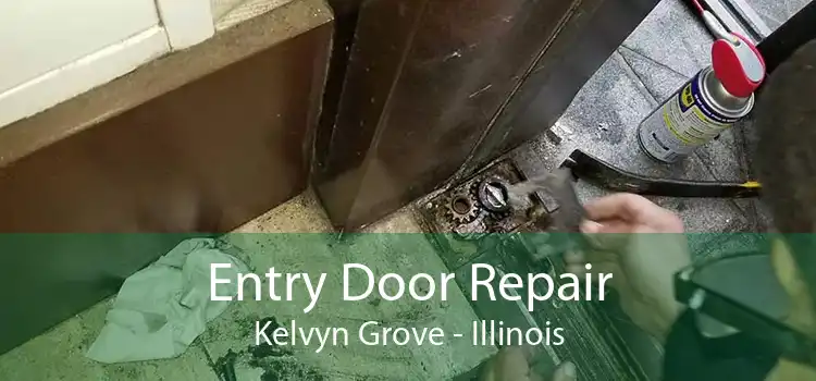 Entry Door Repair Kelvyn Grove - Illinois