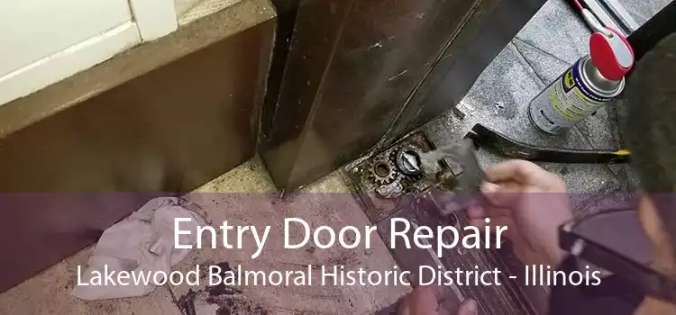 Entry Door Repair Lakewood Balmoral Historic District - Illinois