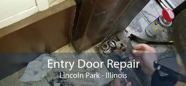 Entry Door Repair Lincoln Park - Illinois