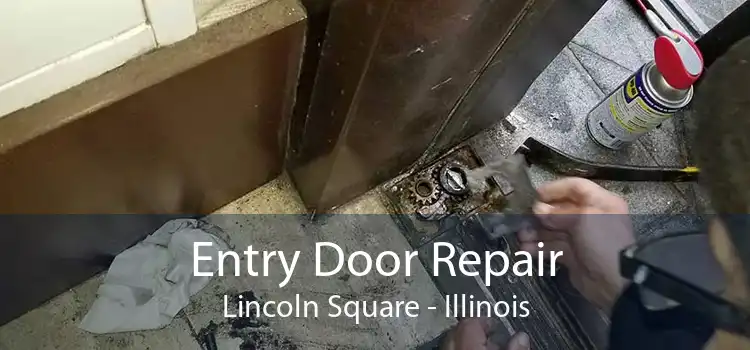 Entry Door Repair Lincoln Square - Illinois