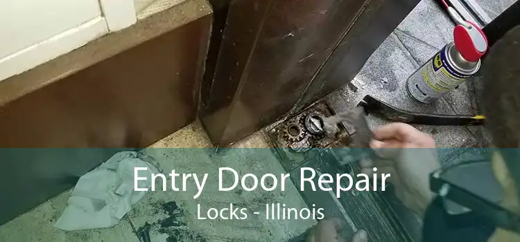 Entry Door Repair Locks - Illinois