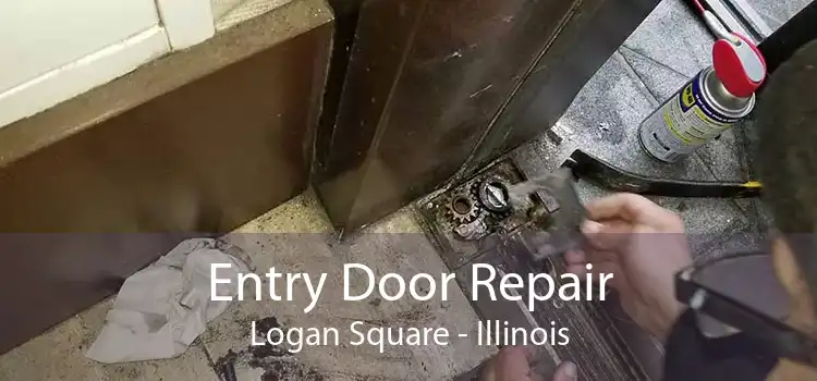 Entry Door Repair Logan Square - Illinois